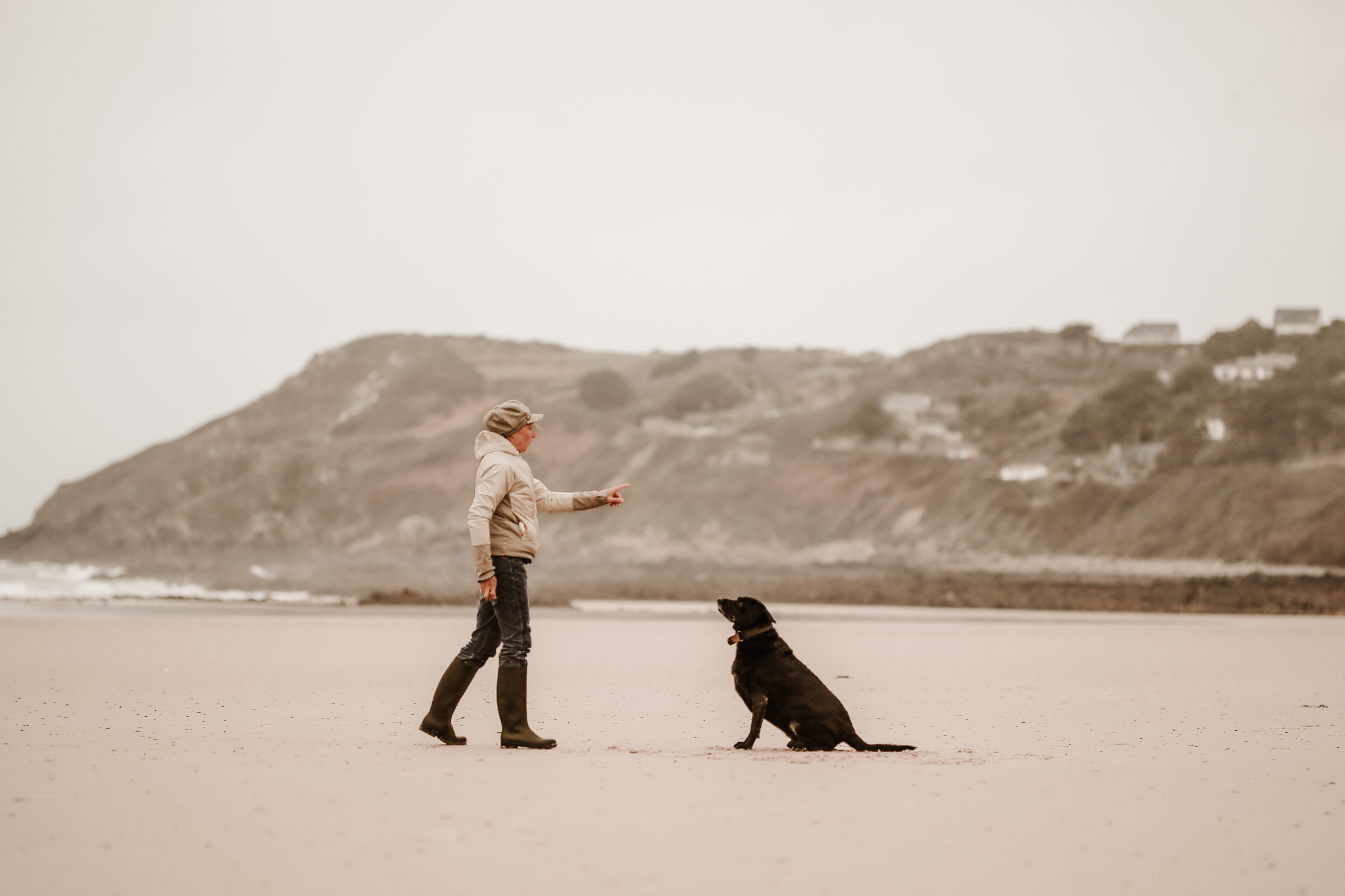 Comportementaliste canin agression anxiété
