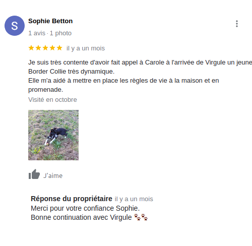 Avis positif 2 comportementaliste canin