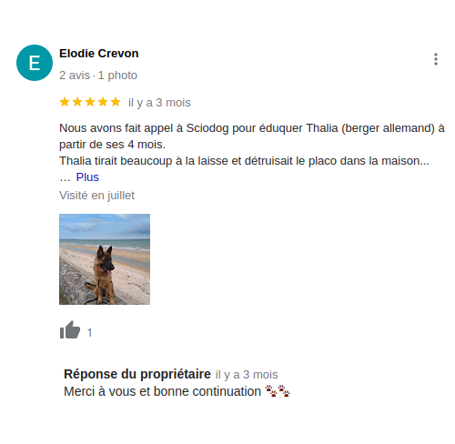 Avis positif 3 éducation chien